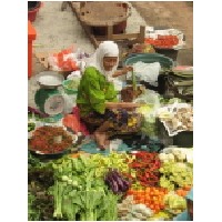 market, Khota Bharu.JPG